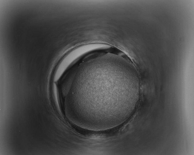 X0000088370248200705291333