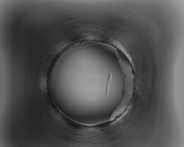 X0000088370249200705291333