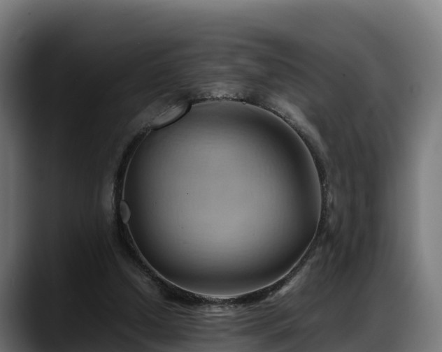 X0000088370250200705291333