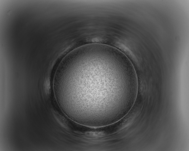 X0000088370251200705291333