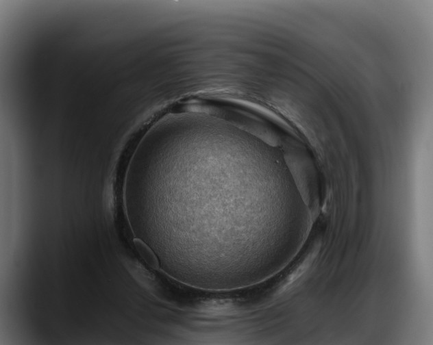 X0000088370252200705291333
