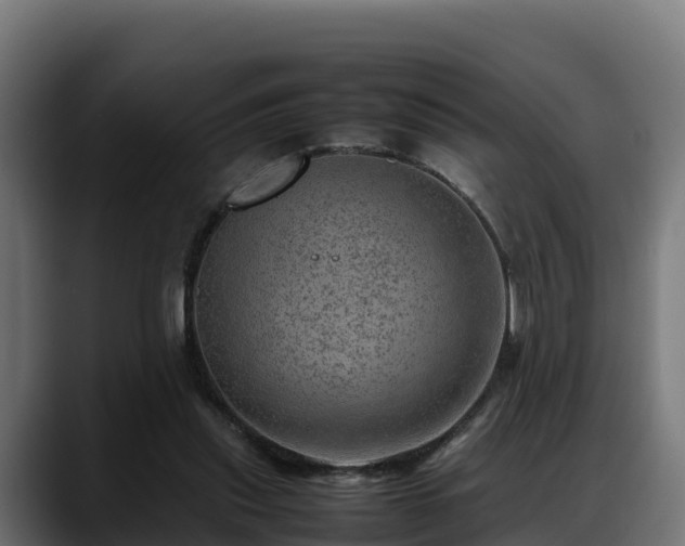 X0000088370253200705291333