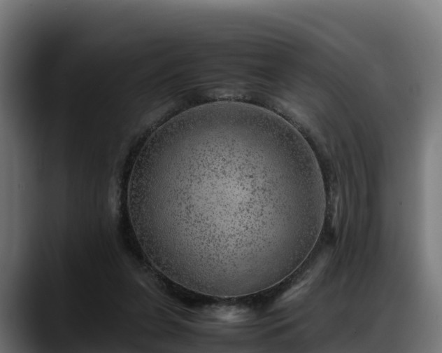 X0000088370255200705291333