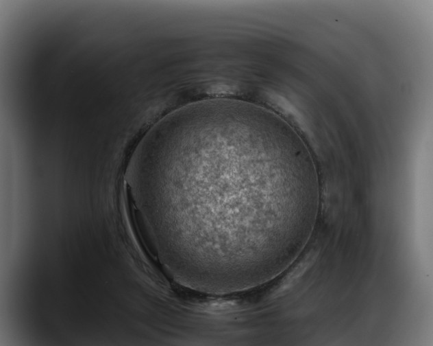 X0000088370257200705291333