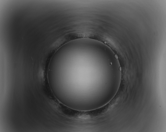 X0000088370258200705291333