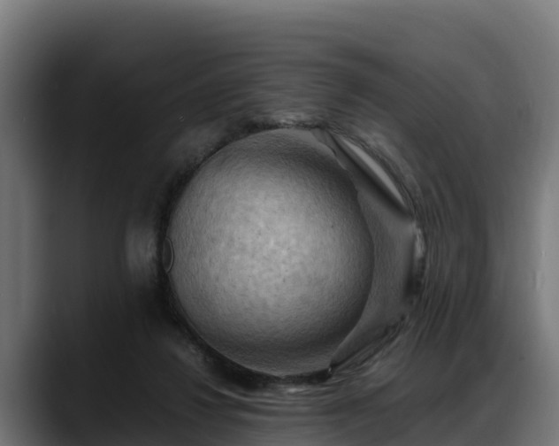 X0000088370260200705291333