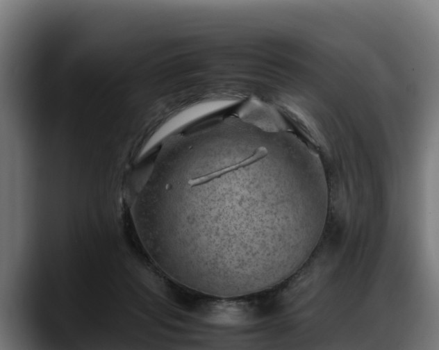 X0000088370261200705291333