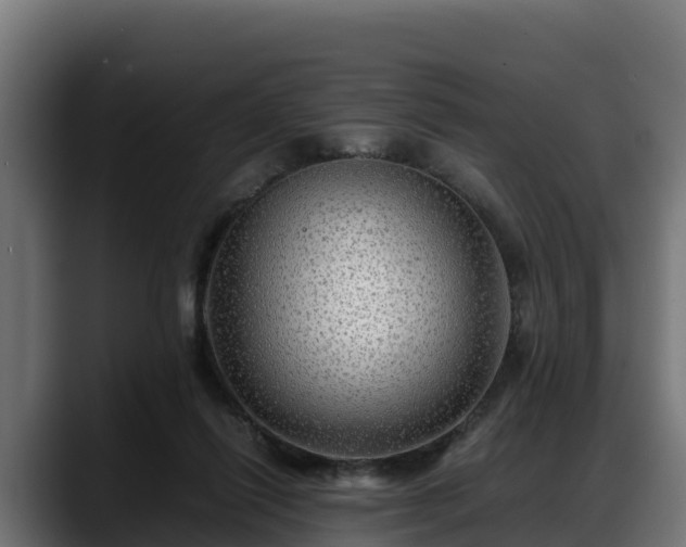 X0000088370262200705291333