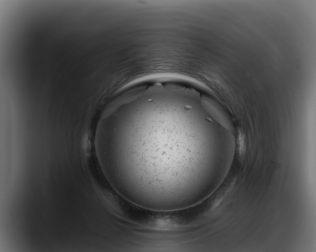 X0000088370264200705291333