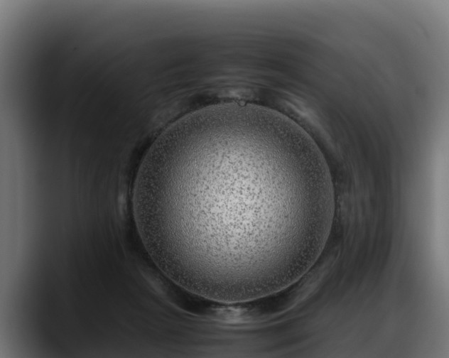 X0000088370265200705291333
