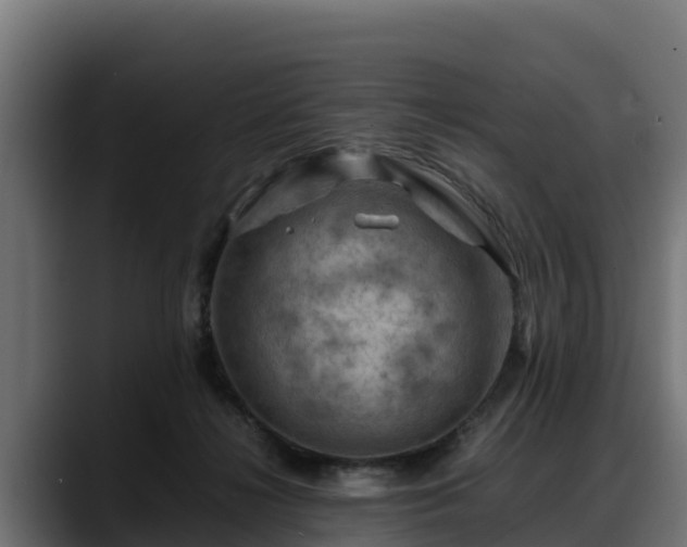 X0000088370268200705291333