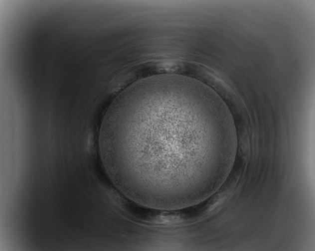 X0000088370270200705291333