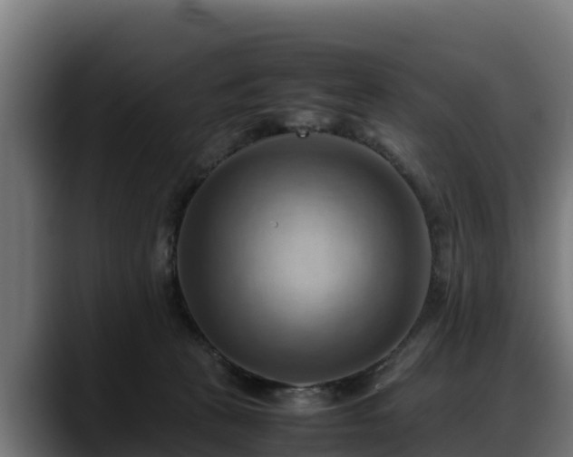 X0000088370273200705291334