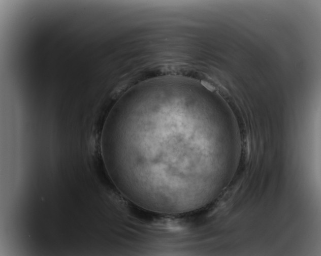 X0000088370276200705291334