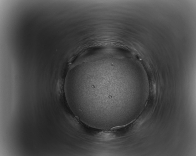 X0000088370280200705291334