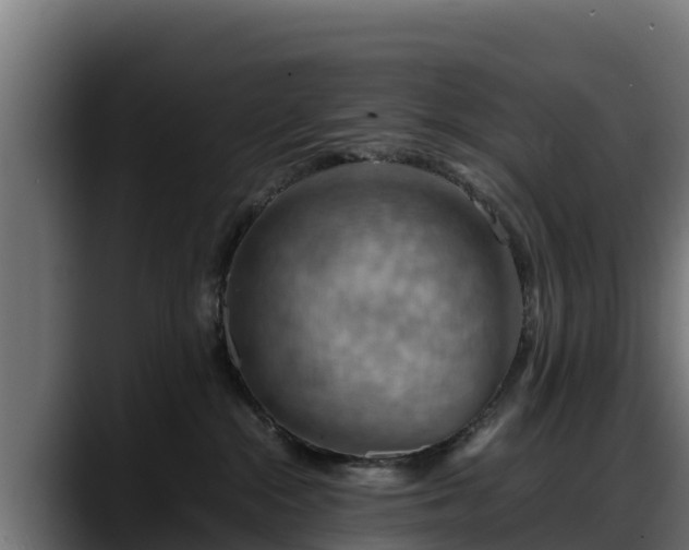 X0000088370284200705291334