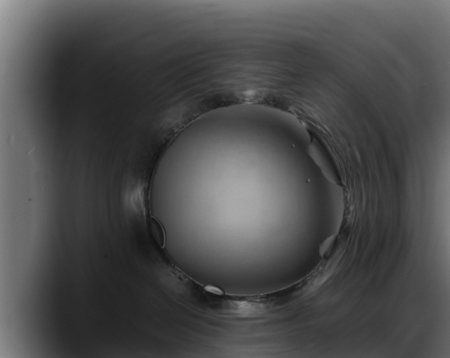 X0000088370286200705291334