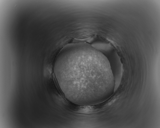 X0000088370288200705291334