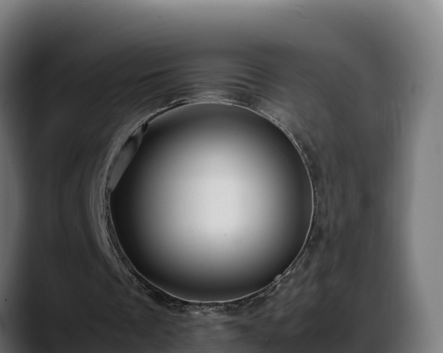X0000088370289200705291333