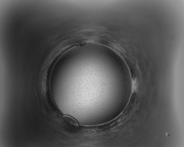X0000088370291200705291333