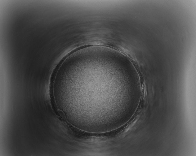 X0000088370292200705291333