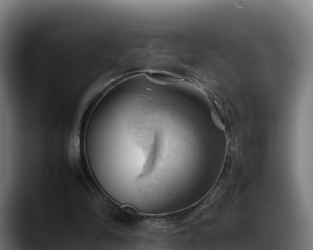 X0000088370294200705291333