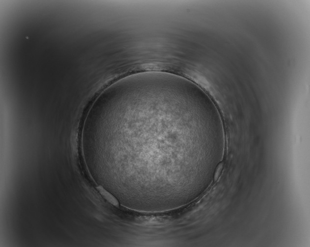 X0000088370297200705291333