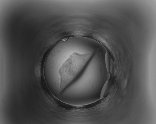 X0000088370299200705291333