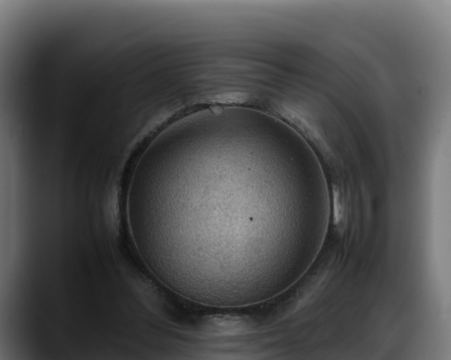 X0000088370300200705291333
