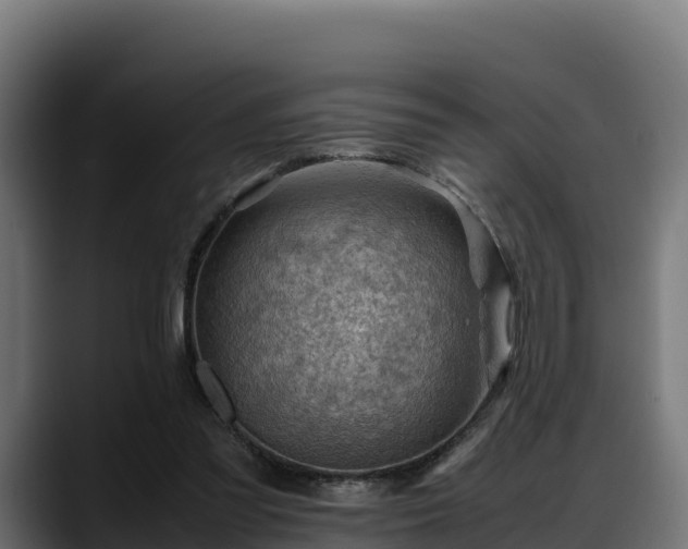 X0000088370301200705291333