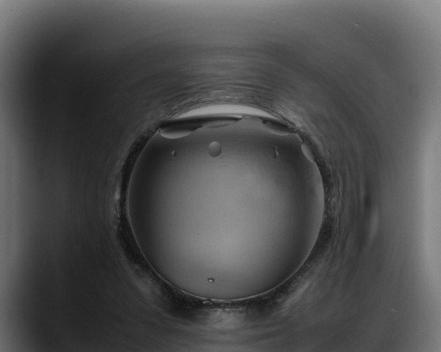 X0000088370303200705291333
