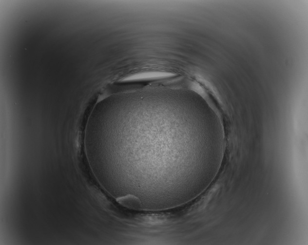 X0000088370305200705291333