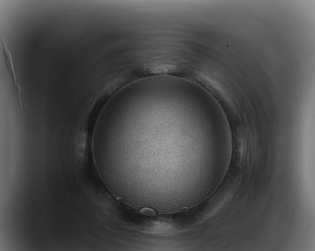 X0000088370308200705291333