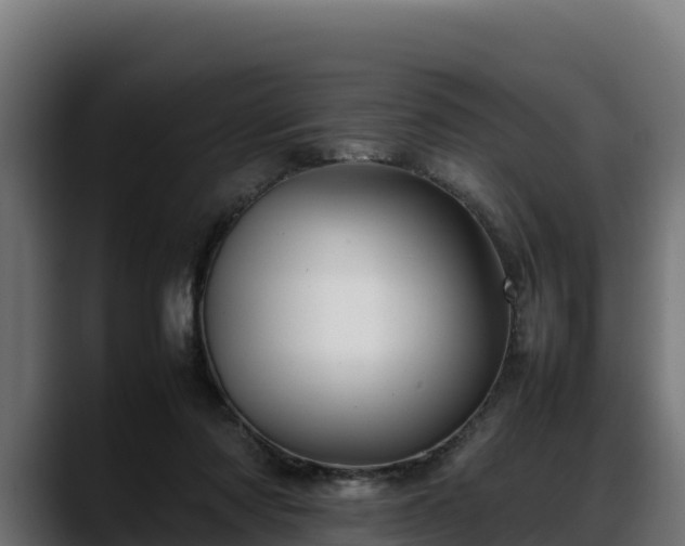 X0000088370310200705291333