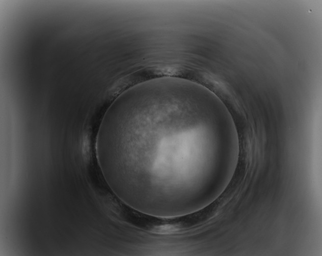 X0000088370312200705291333