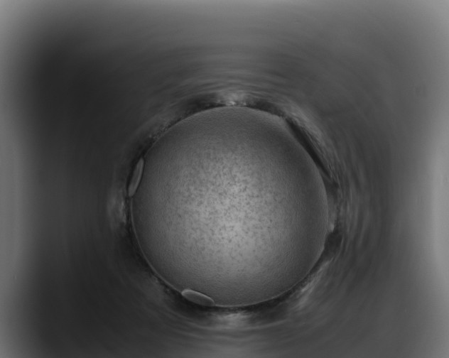 X0000088370313200705291333