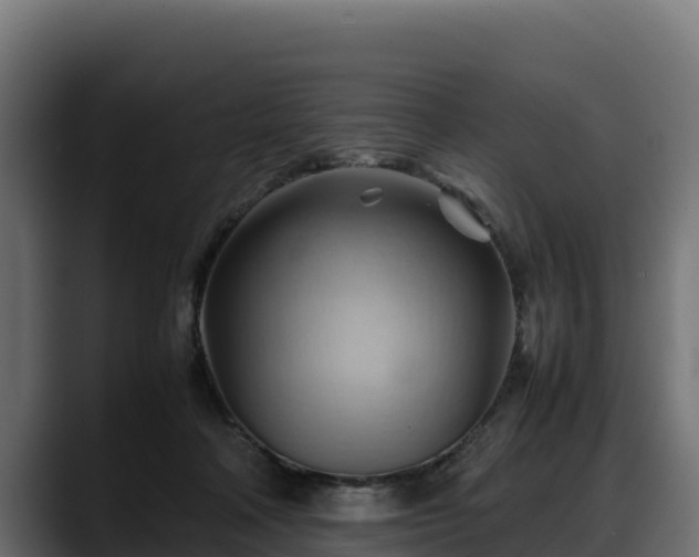 X0000088370314200705291333