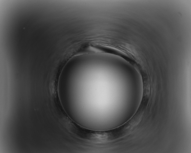 X0000088370317200705291333