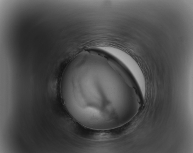 X0000088370319200705291333
