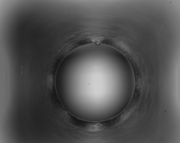 X0000088370321200705291333