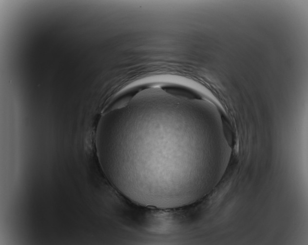 X0000088370325200705291333