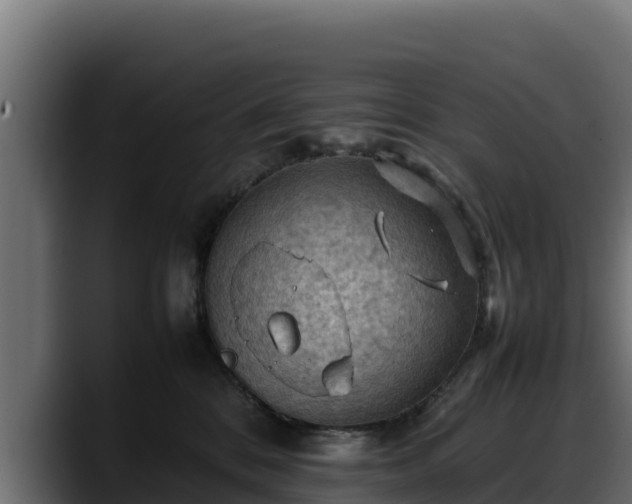 X0000088370328200705291333
