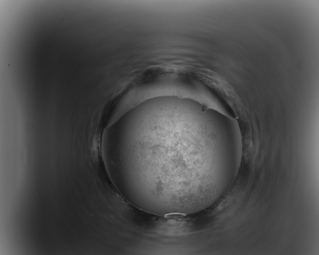 X0000088370329200705291333