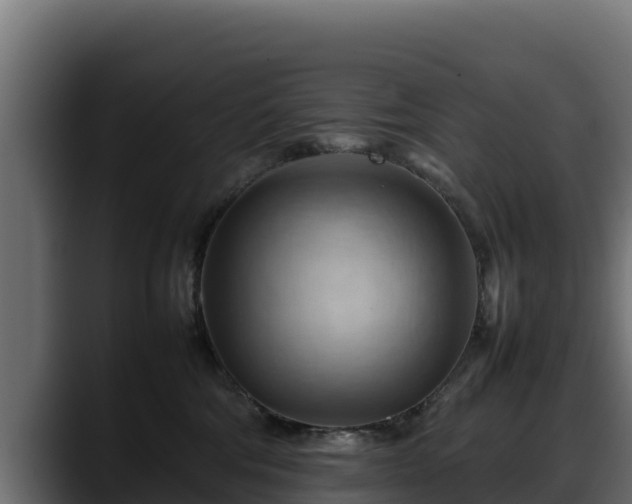 X0000088370330200705291333