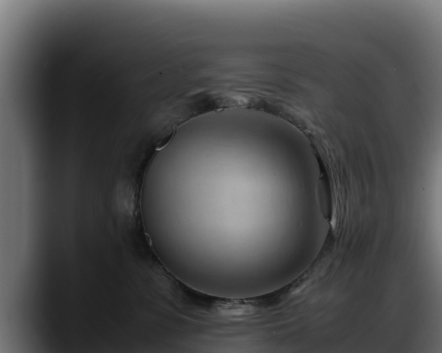 X0000088370331200705291333