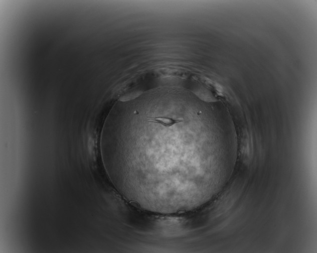 X0000088370332200705291333