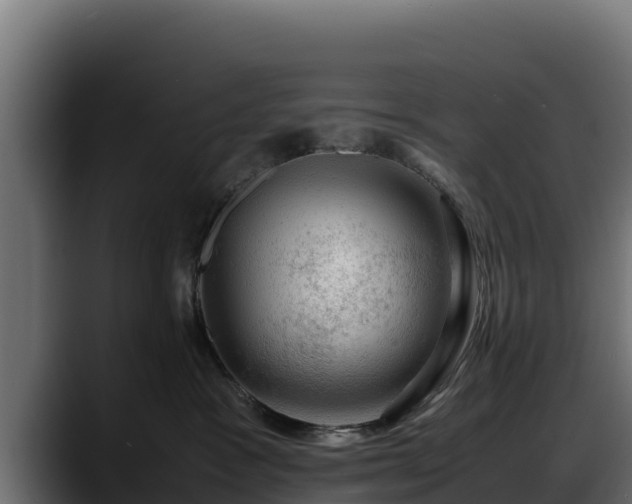 X0000088370333200705291333