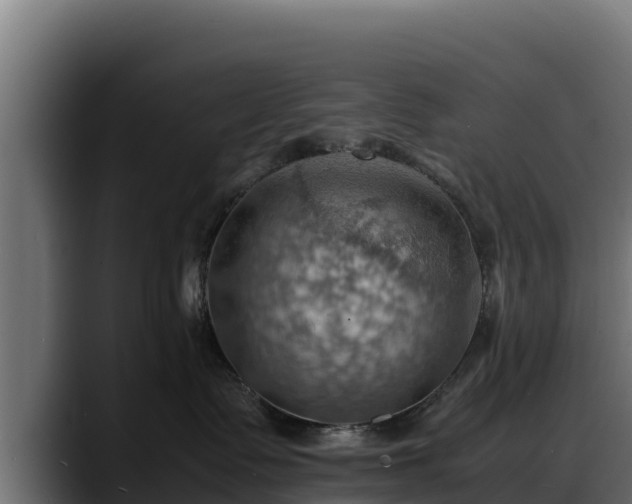 X0000088370335200705291332