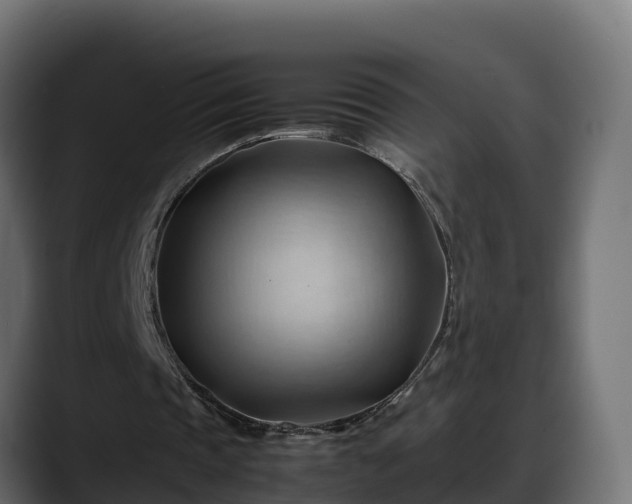 X0000088370337200705291332