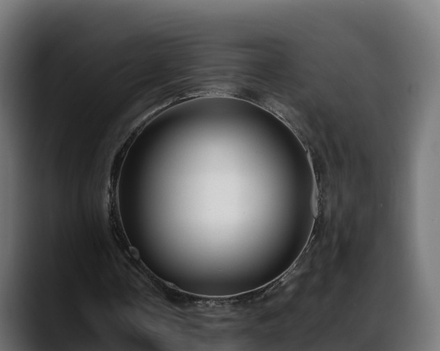 X0000088370338200705291332